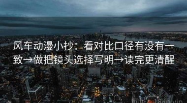 风车动漫小抄：看对比口径有没有一致→做把镜头选择写明→读完更清醒