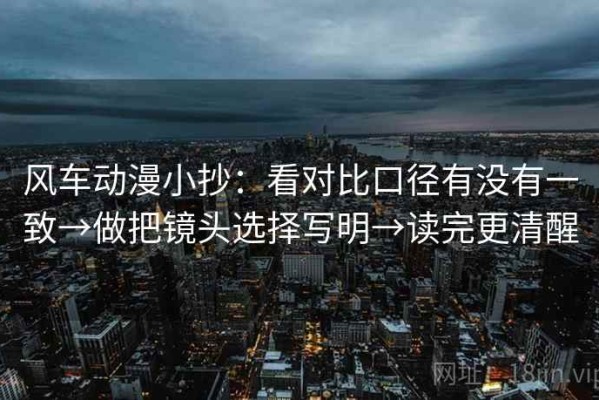 风车动漫小抄：看对比口径有没有一致→做把镜头选择写明→读完更清醒