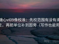 糖心vl09像校准：先校范围有没有滑走，再把单位补到图旁（写作也能用）