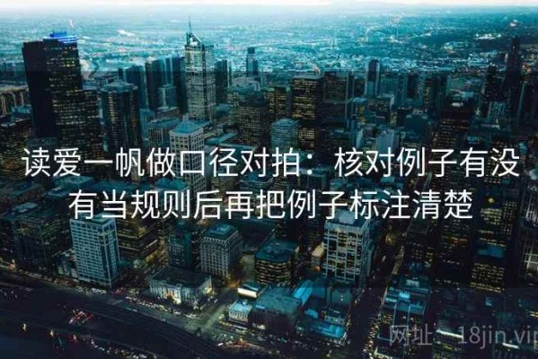 读爱一帆做口径对拍：核对例子有没有当规则后再把例子标注清楚