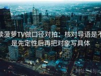 读菠萝TV做口径对拍：核对导语是不是先定性后再把对象写具体
