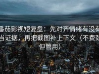 番茄影视短复盘：先对齐情绪有没有当证据，再把截图补上下文（不费劲但管用）