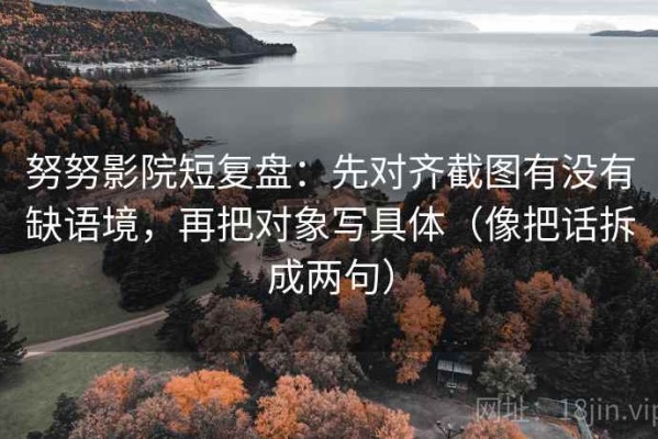 努努影院短复盘：先对齐截图有没有缺语境，再把对象写具体（像把话拆成两句）