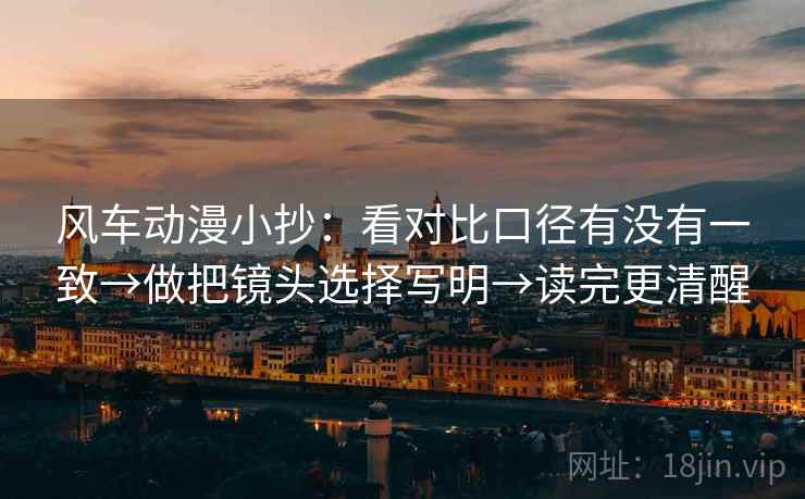 风车动漫小抄：看对比口径有没有一致→做把镜头选择写明→读完更清醒