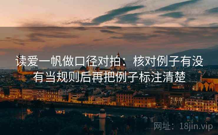 读爱一帆做口径对拍：核对例子有没有当规则后再把例子标注清楚